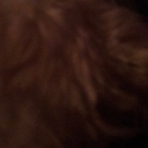 Meet your Posher, Caleigh